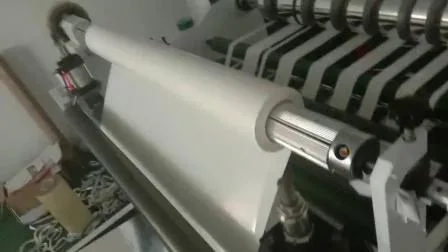 Attrezzatura per spaccare la tagliatrice 1300 della pellicola per film in PVC per animali domestici